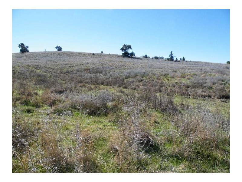 2 Dumbletons Road, Quirindi NSW 2343