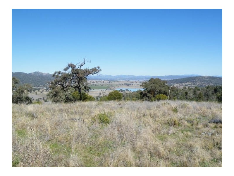 2 Dumbletons Road, Quirindi NSW 2343