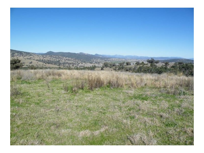 2 Dumbletons Road, Quirindi NSW 2343