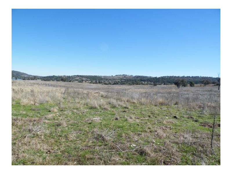 2 Dumbletons Road, Quirindi NSW 2343