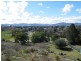 43 Loder Street, Quirindi NSW 2343