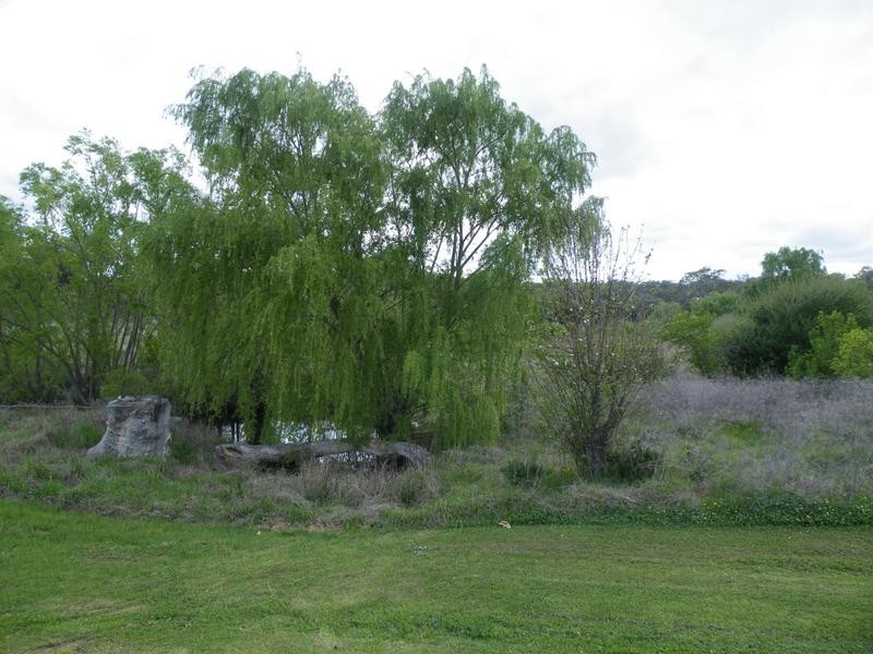 3107 Coach Street, Wallabadah NSW 2343