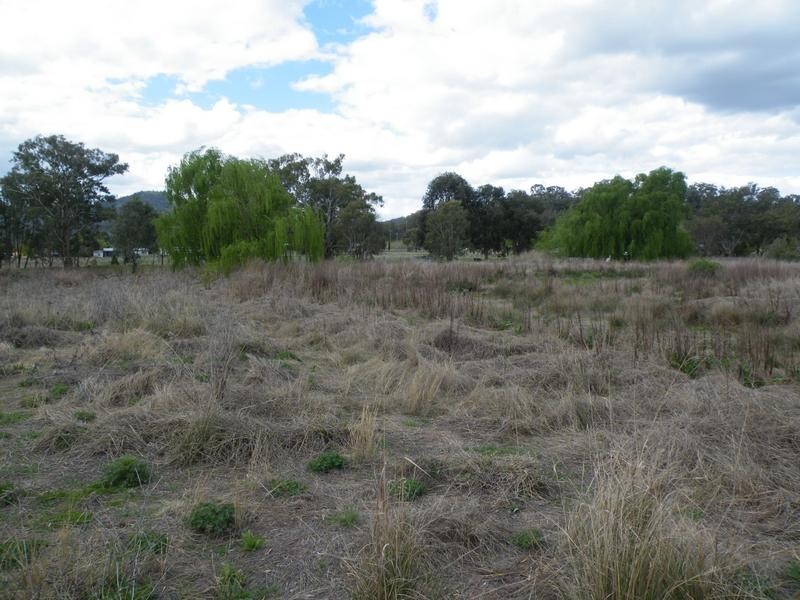 3107 Coach Street, Wallabadah NSW 2343