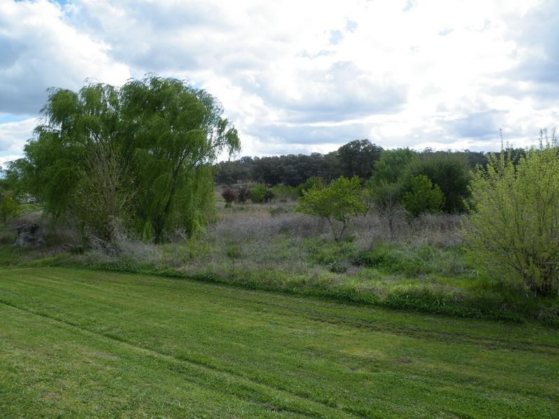 3107 Coach Street, Wallabadah NSW 2343