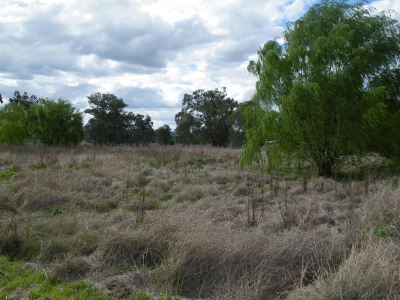 3107 Coach Street, Wallabadah NSW 2343