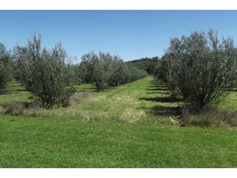 2781 Kamilaroi Highway, Quirindi NSW 2343