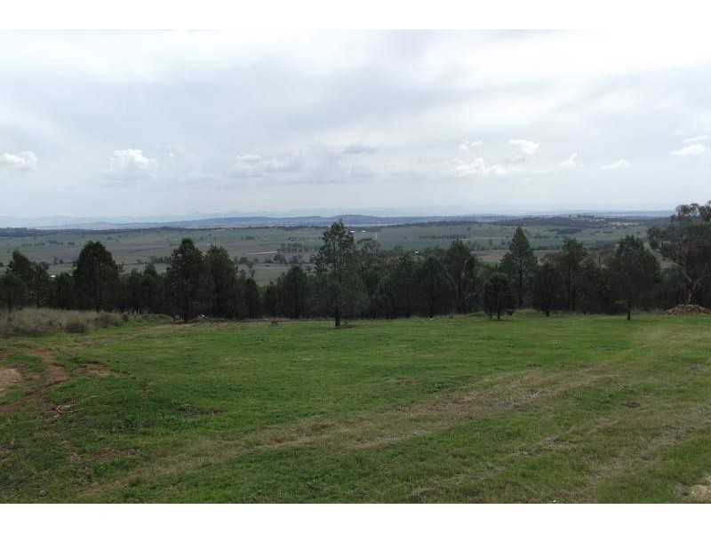 61 Ray Carter Drive, Quirindi NSW 2343