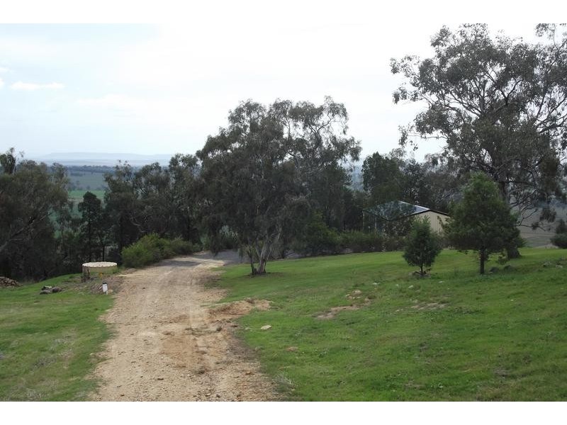 61 Ray Carter Drive, Quirindi NSW 2343