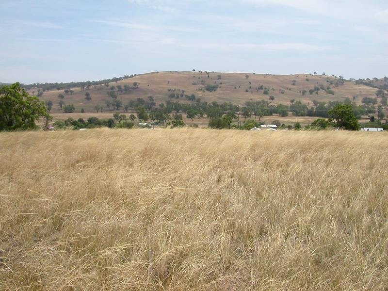 Lot 24 Hall Street, Willow Tree NSW 2339