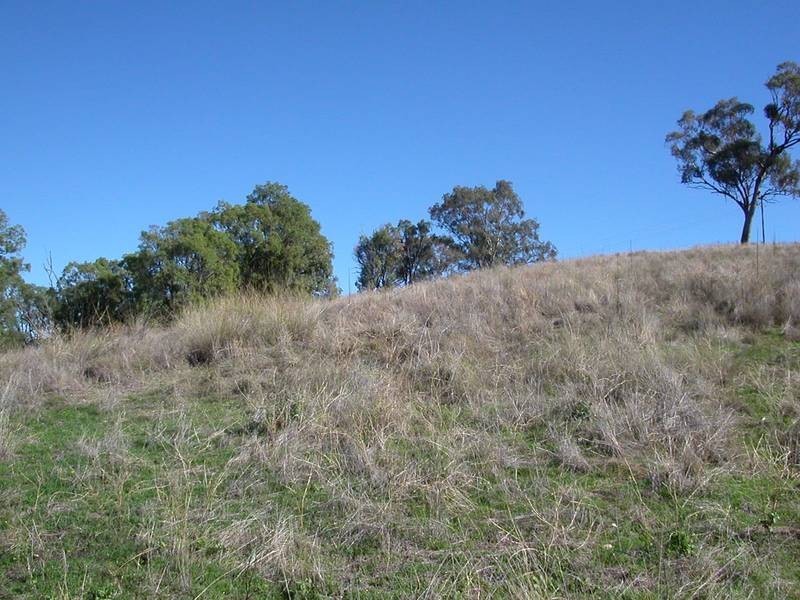 Lot 11, 4 Bolah Gap Rd, Quirindi NSW 2343