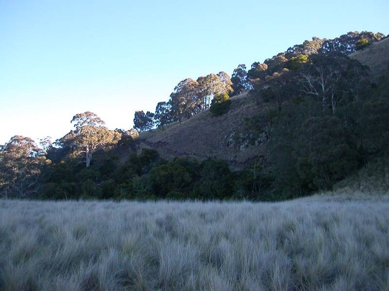 Lot 10,  Mt Helen Rd, Murrurundi NSW 2338