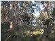 Lot 10,  Mt Helen Rd, Murrurundi NSW 2338