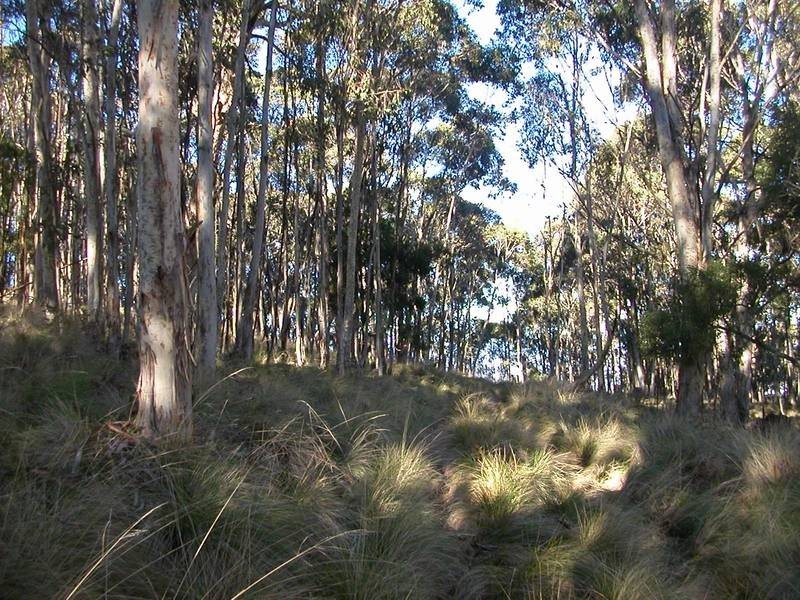 Lot 10,  Mt Helen Rd, Murrurundi NSW 2338