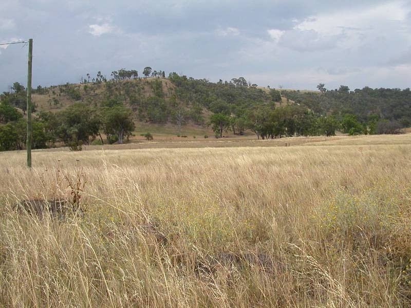 Lot 22 Hall Street, Willow Tree NSW 2339