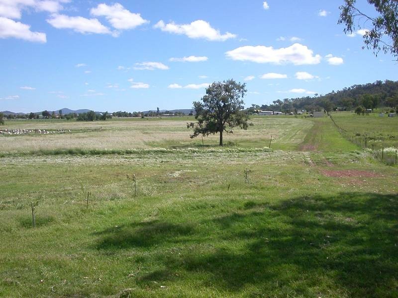 Lot 242,  Memorial Drive, Werris Creek NSW 2341