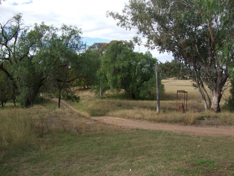 194 Carinya Road, Quirindi NSW 2343