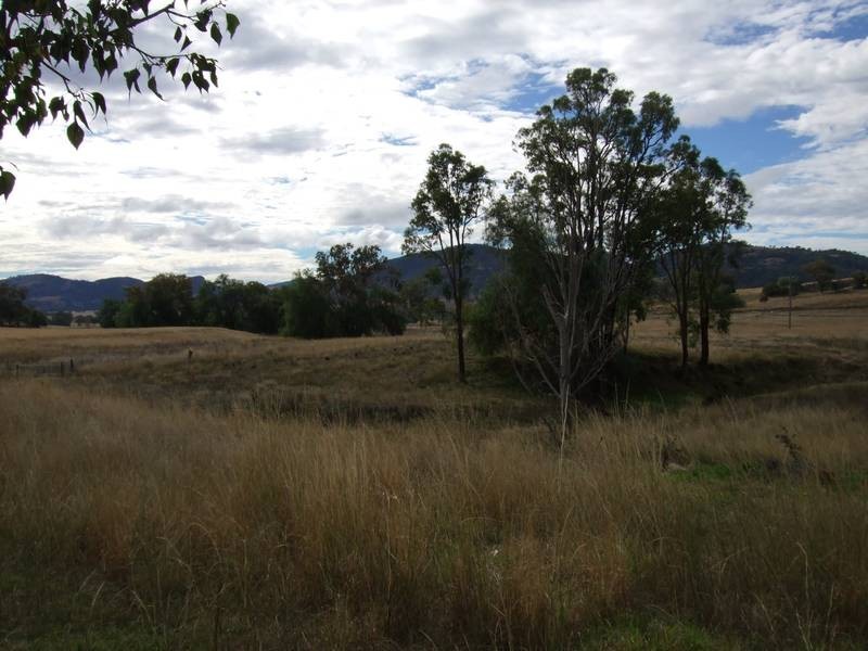 194 Carinya Road, Quirindi NSW 2343