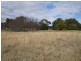 194 Carinya Road, Quirindi NSW 2343