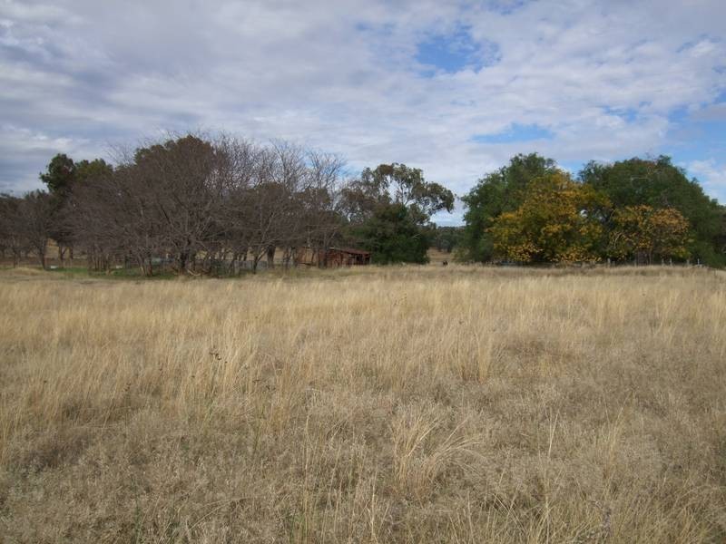 194 Carinya Road, Quirindi NSW 2343