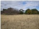 194 Carinya Road, Quirindi NSW 2343