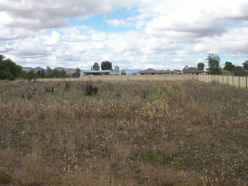 10 Green Crescent, Quirindi NSW 2343