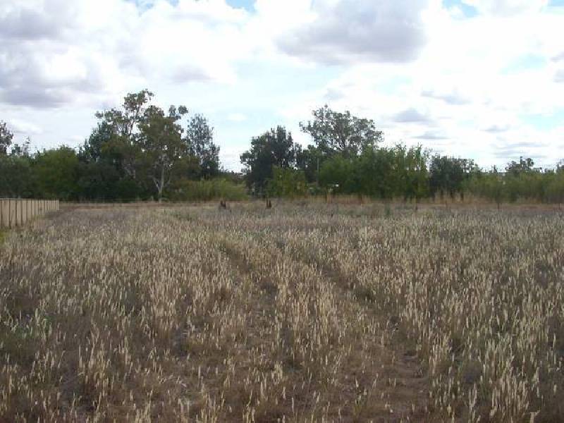 10 Green Crescent, Quirindi NSW 2343