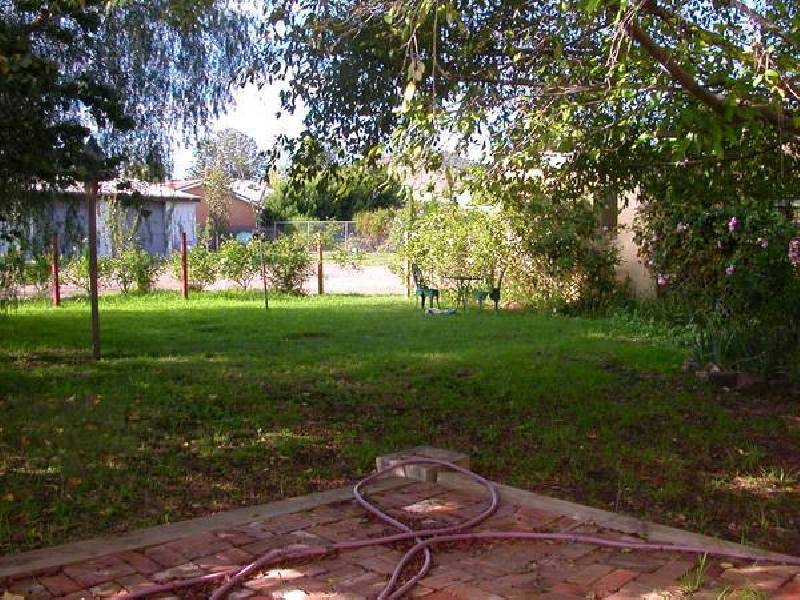 Single Street, Werris Creek NSW 2341