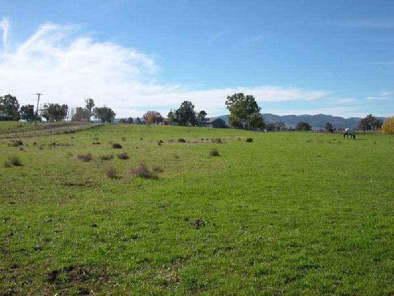 121 Borah Creek Road, Quirindi NSW 2343