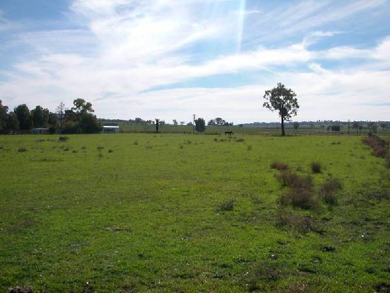 123 Borah Creek Road, Quirindi NSW 2343
