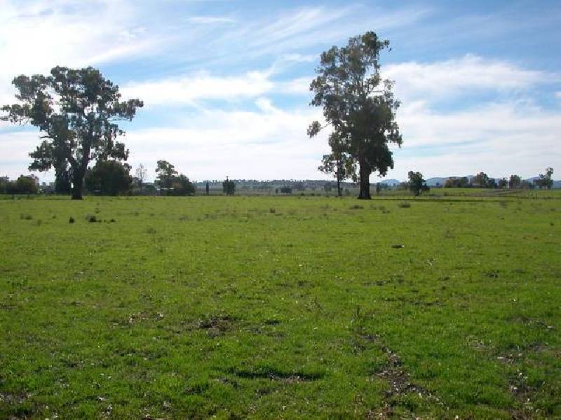 123 Borah Creek Road, Quirindi NSW 2343