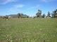 123 Borah Creek Road, Quirindi NSW 2343