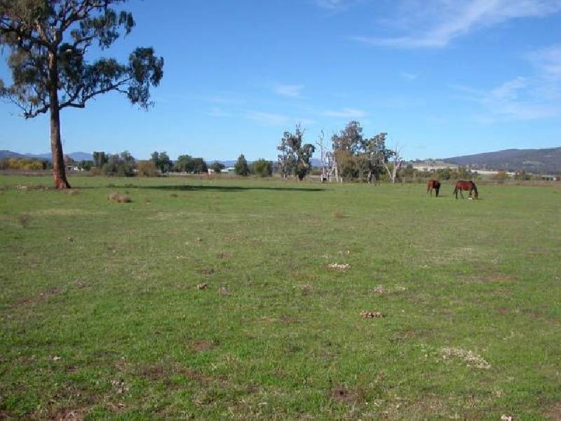 123 Borah Creek Road, Quirindi NSW 2343