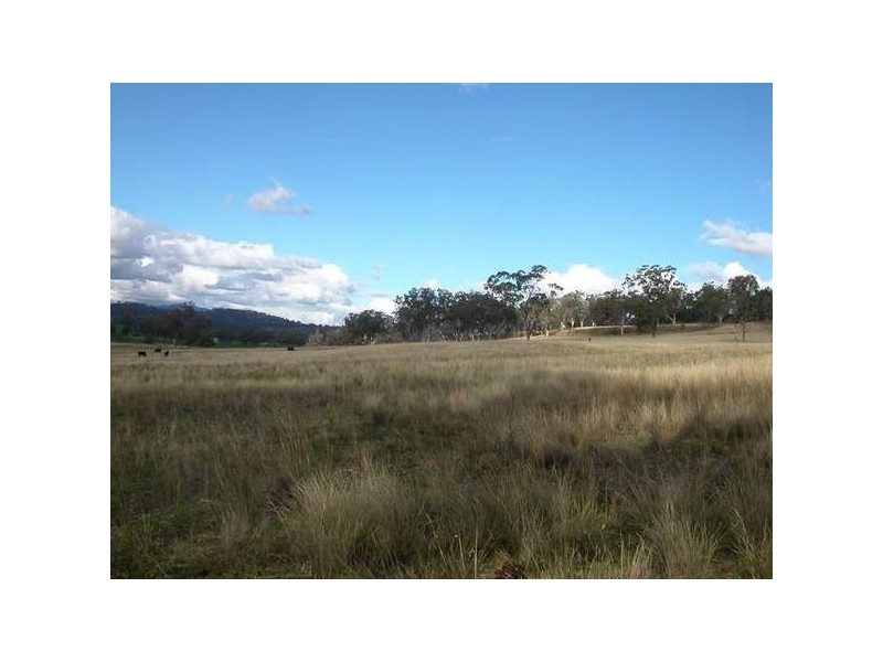 62 Warrah Creek Road, Willow Tree NSW 2339