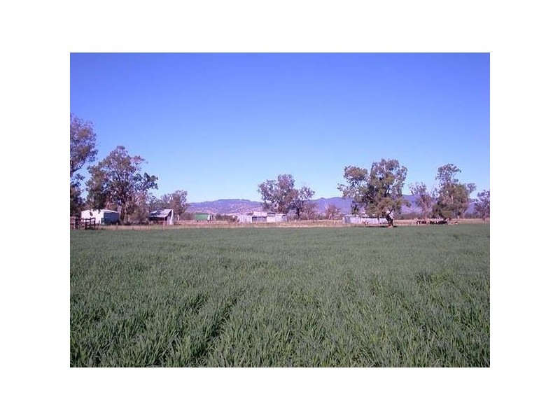 62 Warrah Creek Road, Willow Tree NSW 2339