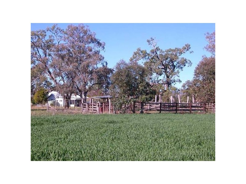 62 Warrah Creek Road, Willow Tree NSW 2339