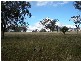 62 Warrah Creek Road, Willow Tree NSW 2339