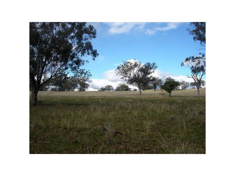 62 Warrah Creek Road, Willow Tree NSW 2339