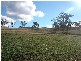 2 Warrah Creek Road, Willow Tree NSW 2339