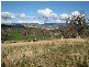 2 Warrah Creek Road, Willow Tree NSW 2339