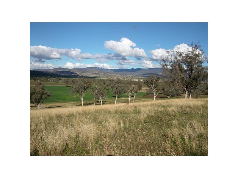 2 Warrah Creek Road, Willow Tree NSW 2339