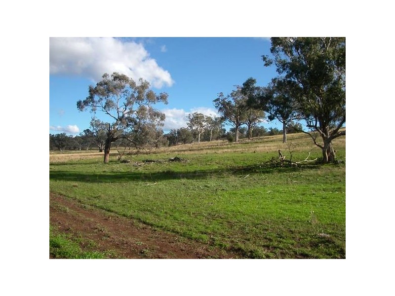 2 Warrah Creek Road, Willow Tree NSW 2339