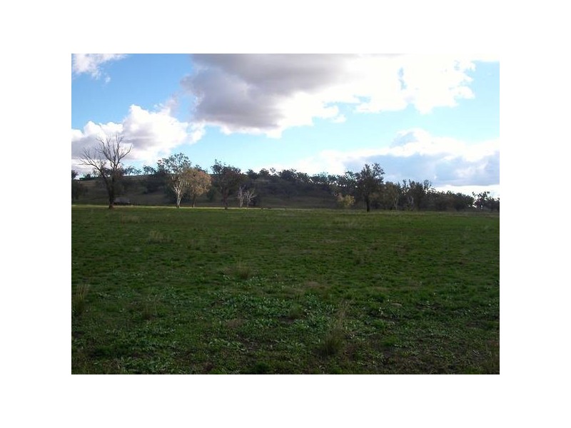 2 Warrah Creek Road, Willow Tree NSW 2339