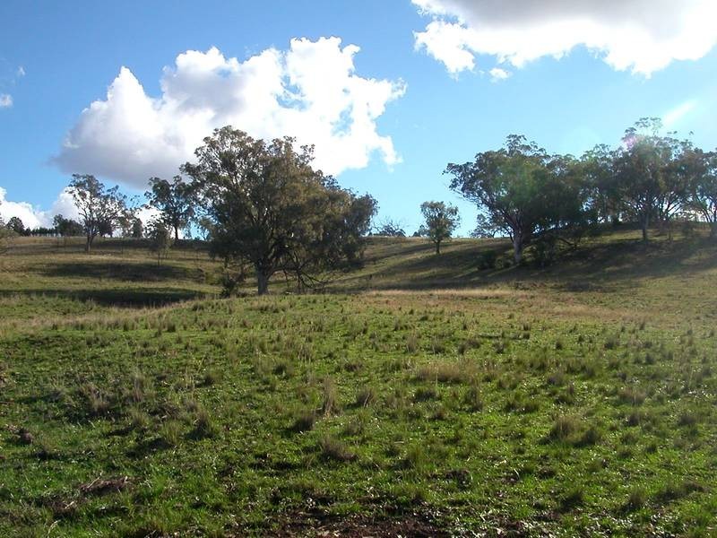 Lot 3,  Warrah Creek Road, Willow Tree NSW 2339