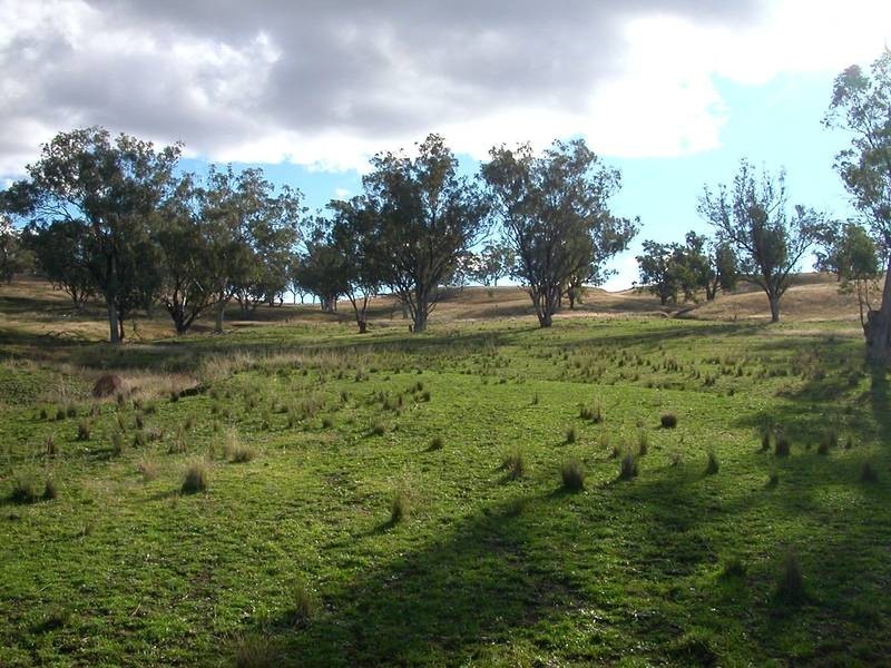 Lot 3,  Warrah Creek Road, Willow Tree NSW 2339