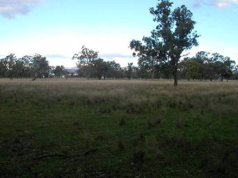 4 Warrah Creek Road, Willow Tree NSW 2339