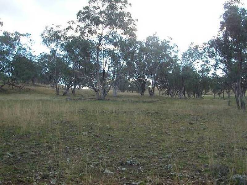 4 Warrah Creek Road, Willow Tree NSW 2339