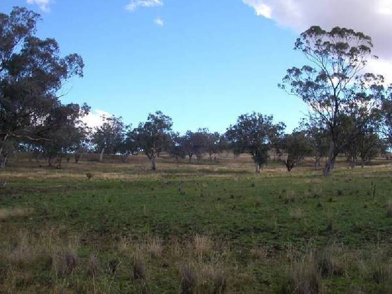 4 Warrah Creek Road, Willow Tree NSW 2339