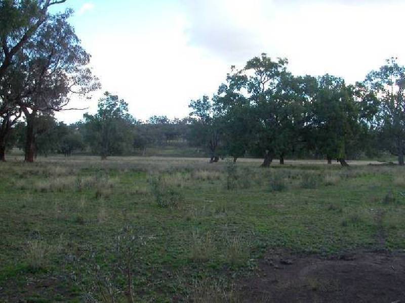 4 Warrah Creek Road, Willow Tree NSW 2339