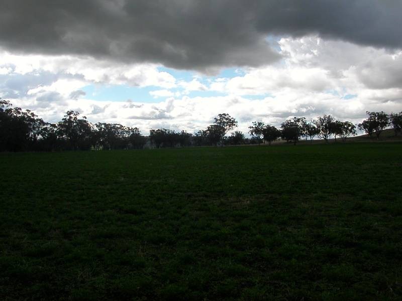 5 Merriwa Road, Willow Tree NSW 2339