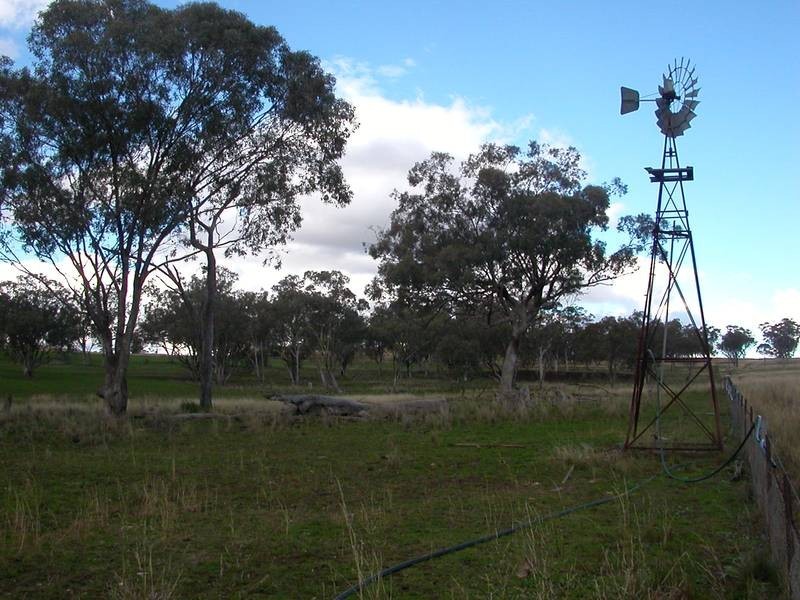 5 Merriwa Road, Willow Tree NSW 2339